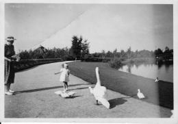 Boeremapark 1939 (foto J Hoven - 3)