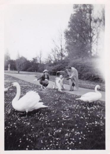 Boeremapark 1952 (foto Odijk - 1)