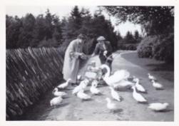 Boeremapark 1952 (foto Odijk - 3)