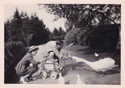 Boeremapark 1952 (foto Odijk - 4)