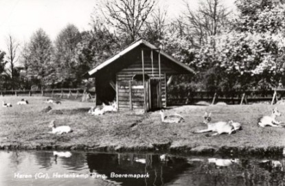 Boeremapark hertenkamp omstreeks 1948 1